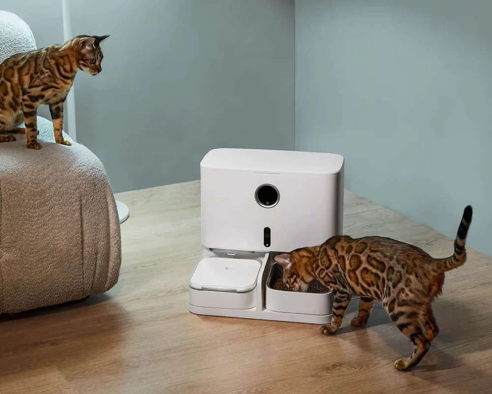 automatic pet feeder and water